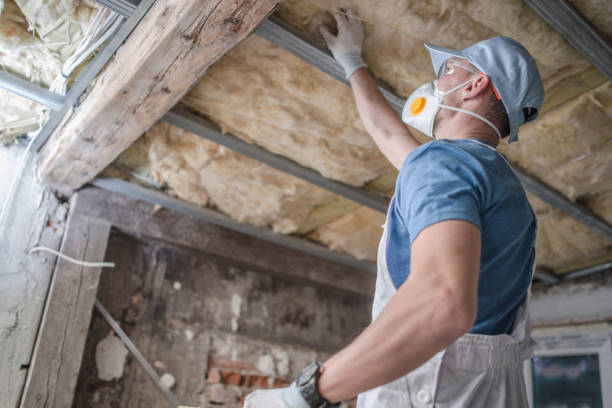 Best Spray Foam Insulation  in Paris, TN